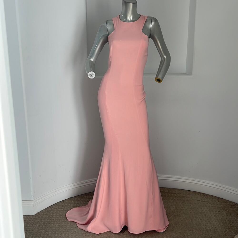 Nadine Merabi Coral Amie Gown Blush  Special Occasion Size 10